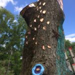 storm-damaged tree turned into art with painting