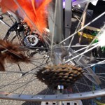 A bicycle wheel with feathers on it.